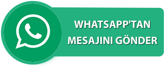 Pendik Escort Asya whatsapp sohbet